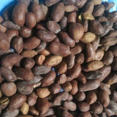A picture of Groundnuts.