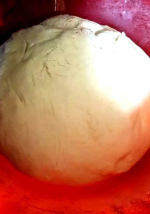 A picture of My Pizza Dough.