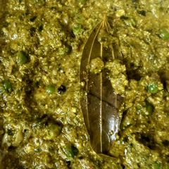 A picture of Methi matar malai.