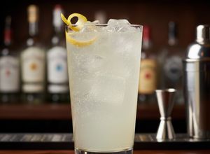 Foto de Gin Fizz
