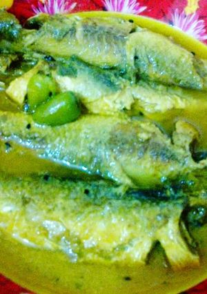 A picture of Malabar Fish Coconut Curry.