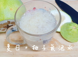 「柚子氣泡飲」夏天高纖清爽飲料 的食譜成品照片