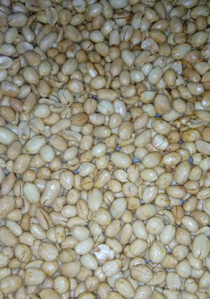 Foto resep Kacang bawang renyah...Asli gak pake booong🤣