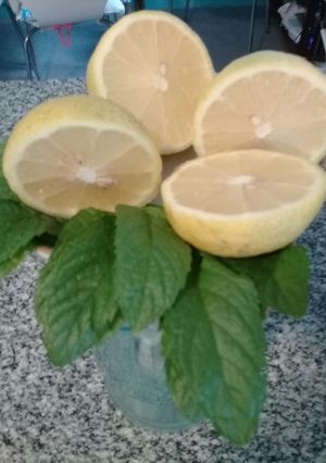 Una foto de Limonada con menta