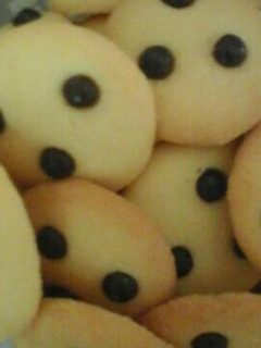 Foto resep Chocochip cookies vanilla irit telur