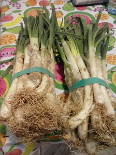 Foto principal de Calçots, en casa