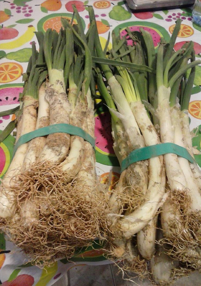 Una foto de Calçots, en casa
