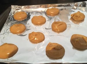 Una foto de Cajetas o Cremitas de Leche