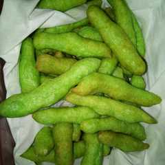 A picture of Kue gabus ketofy.