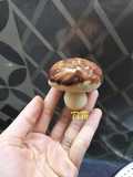 Bánh bao nấm