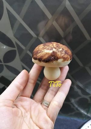 Hình của món Bánh bao nấm.