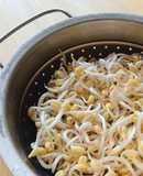 🌱 Làm Giá Đậu Xanh Bằng Vỏ Hộp Sữa