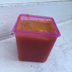 A picture of Butternut squash & apple baby food.