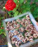 Galletas de jengibre apta diabéticos