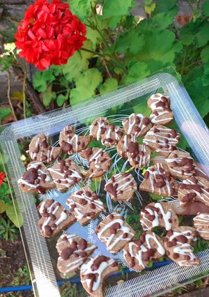 Una foto de Galletas de jengibre apta diabéticos