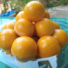 รูปของ Nastar tanpa telur