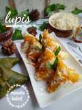 Lupis