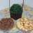 Galletas de mantequilla con thermomix