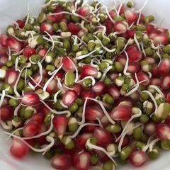 A picture of Sprouts.