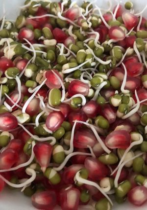 A picture of Sprouts.