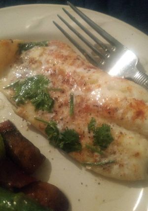 A picture of Lemon Orange Roughy Fish.