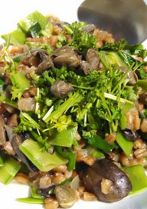 A picture of Veggie Farrotto.