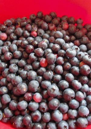 A picture of Blueberry Jam/Sauce.