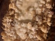 Una foto de macarrones con queso sin manteca