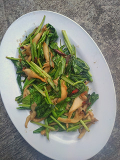 Foto resep Cah jamur tiram