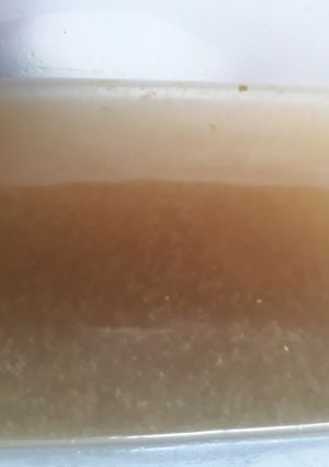 A picture of Broth.