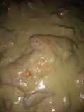 Pechuga en salsa bechamel