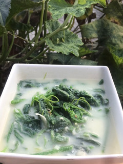 Foto resep Bobor Pucuk Labu