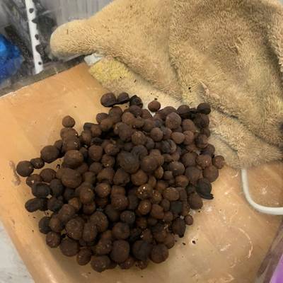 Nesquik Cereal Rabbit Poop