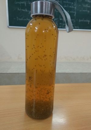 Hình của món Detox 13-Hạt chia mật ong.