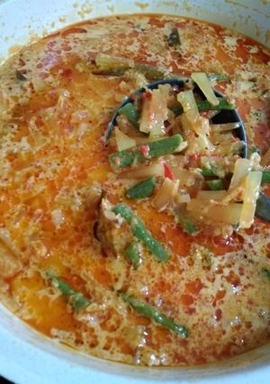 Foto resep Sayur Lodeh Pepaya kacang panjang
