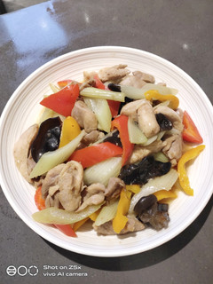 A picture of Stir Fry Chicken.