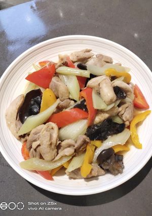 A picture of Stir Fry Chicken.