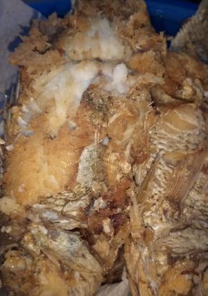 A picture of Tasty Tilapia.