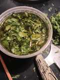 Cilantro in Olive Oil