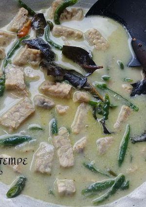 Foto resep JANGAN Tempe