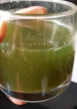 A picture of Coriader mint juice.