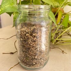 A picture of Protein powder (homemade with seeds and nuts).