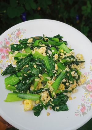 Foto resep Tumis pokcoy telur