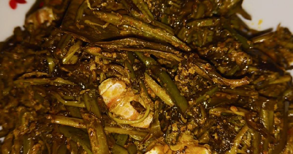 28 resep  rendang pakis enak dan sederhana ala rumahan 