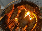 A picture of grilled lamb kebabs