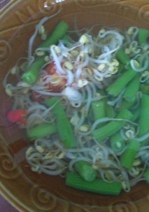 Foto resep Sayur bening tauge-Buncis*diet*
