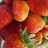 تفريز الفراوله 🍓🍓
