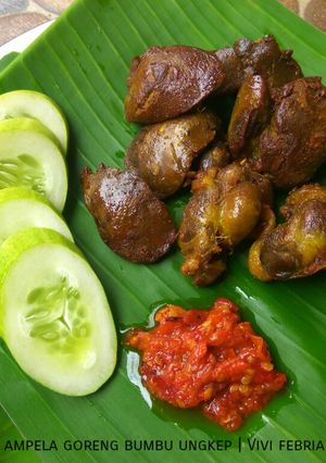 Foto resep Ati ampela goreng bumbu ungkep