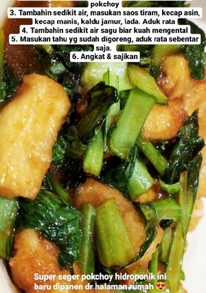 Foto resep Tumis pokchoy tahu