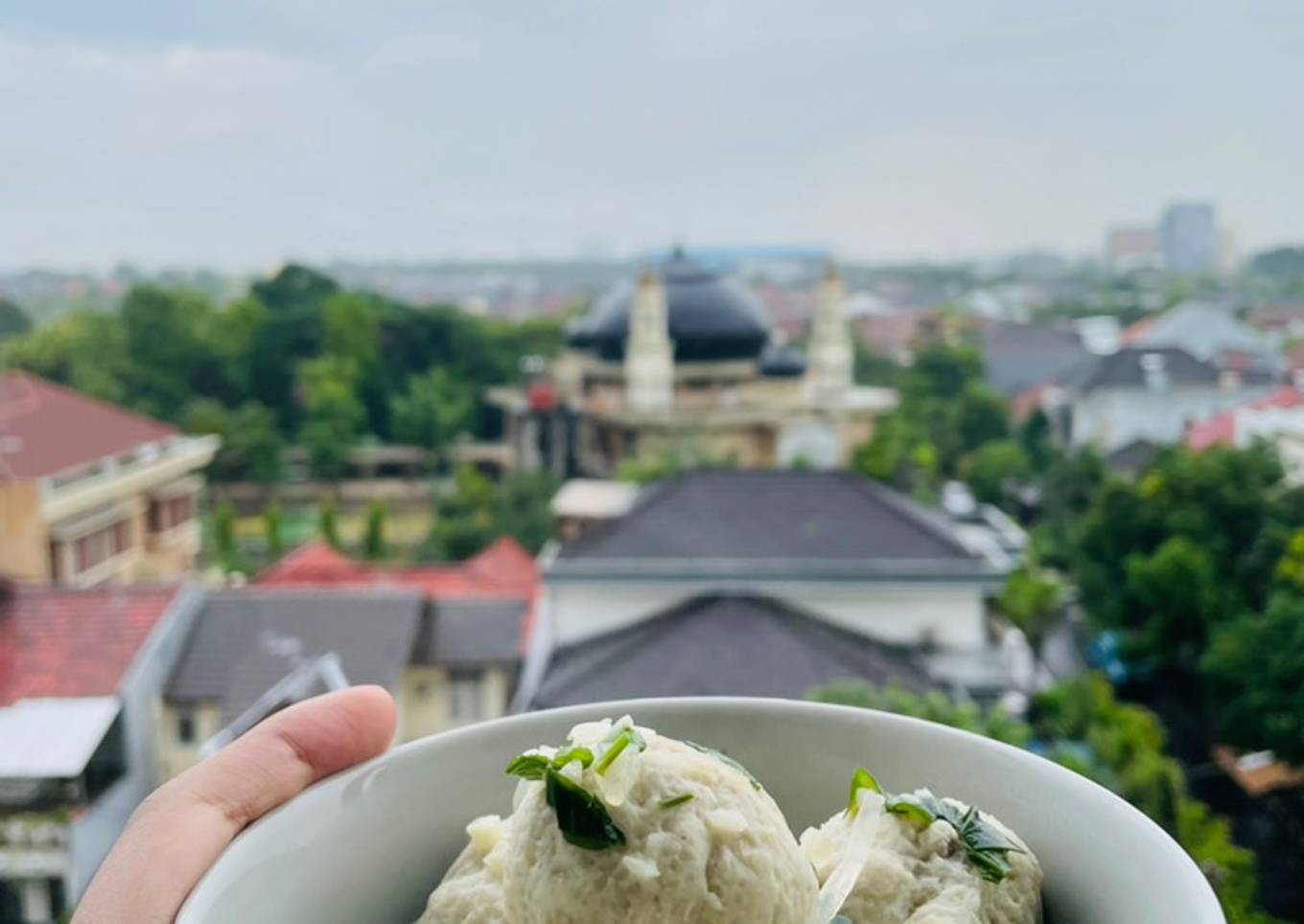 Menu DIET!! Bakso Tekwan